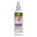 MASSÓ ABONO FOLIAR TILLANDSIAS "CLAVELES DE AIRE" 250 ML