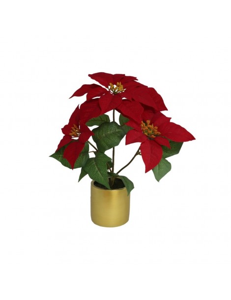 MACETA POINSETTIA 3 FLORES 19 CM. 