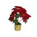 MACETA POINSETTIA 3 FLORES 19 CM. 