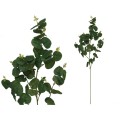 VARA EUCALYPTUS 60 LVS 90 CM VERDE