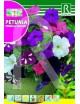 PETUNIA PENDULA BALCON VARIADA