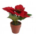 MACETA POINSETTIA 14 CM. 