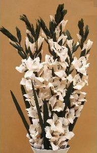 gladiolo artificial, flor artificial, decoracion flores, flores hogar,